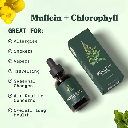 Mullein & Chlorophyll Extract